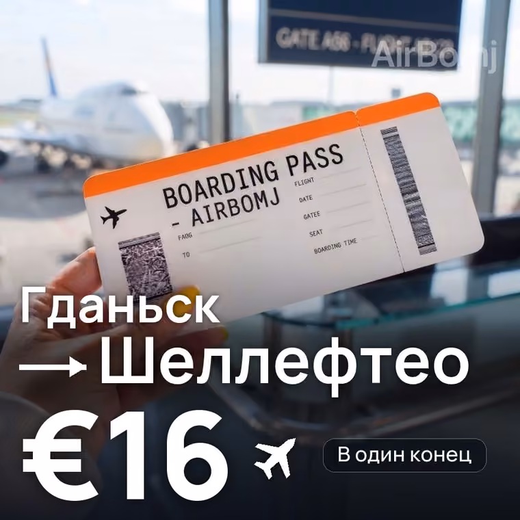 Гданьск → Шеллефтео за €16