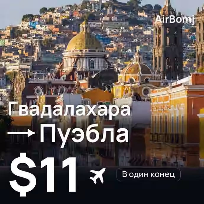 Гвадалахара → Пуэбла — лучшая цена $11