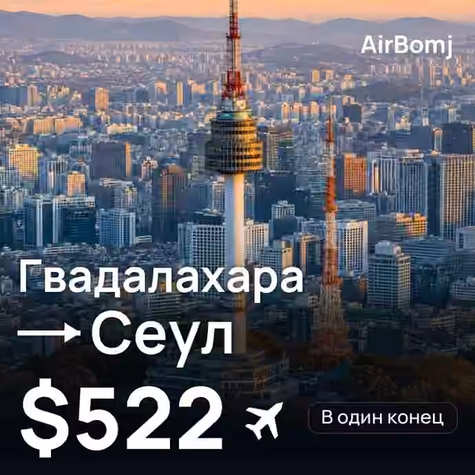 Гвадалахара → Сеул — лучшая цена $522