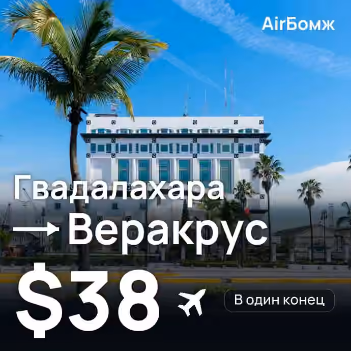 Гвадалахара → Веракрус — лучшая цена $38