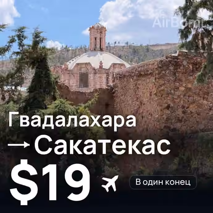Гвадалахара → Сакатекас за $19