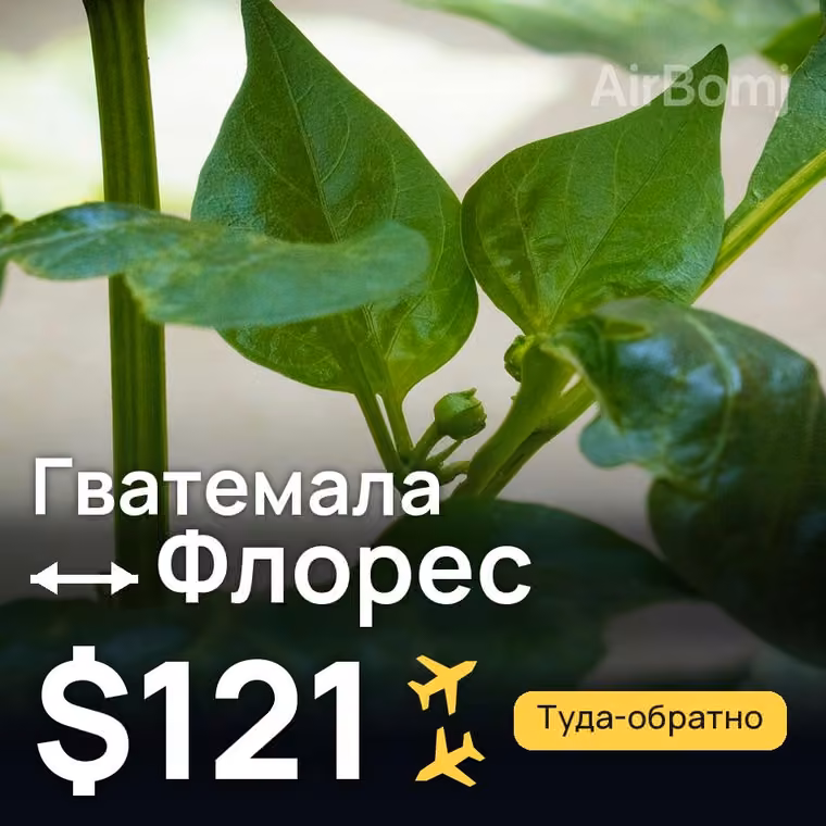 Гватемала → Флорес за $121