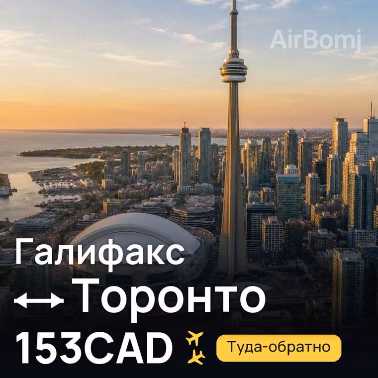 Галифакс → Торонто — лучшая цена 153CAD