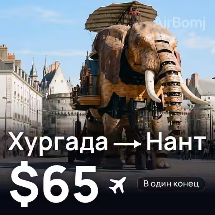 Хургада → Нант за $65