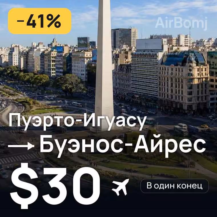 Пуэрто-Игуасу → Буэнос-Айрес за $30
