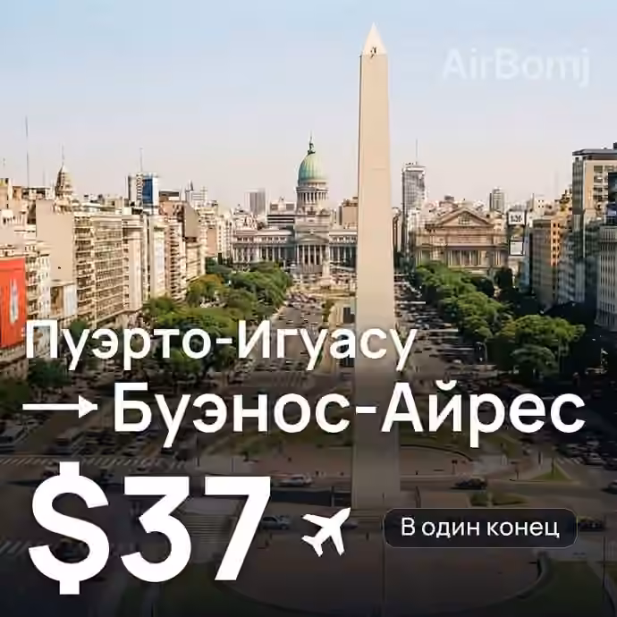 Пуэрто-Игуасу → Буэнос-Айрес — лучшая цена $37