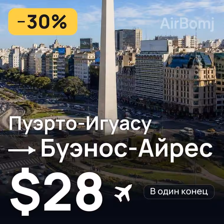 Пуэрто-Игуасу → Буэнос-Айрес за $28