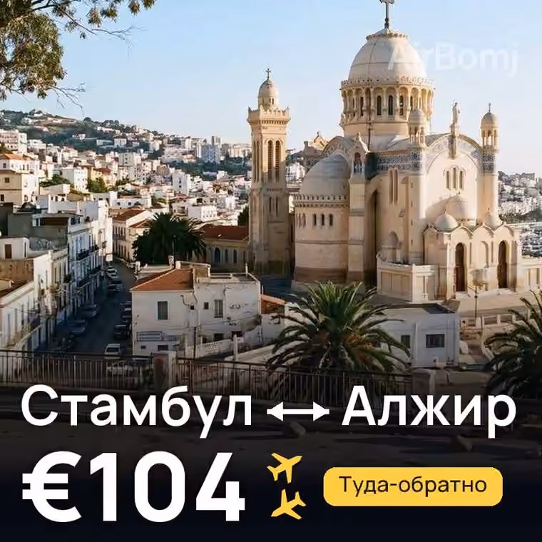 Стамбул → Алжир — лучшая цена €104