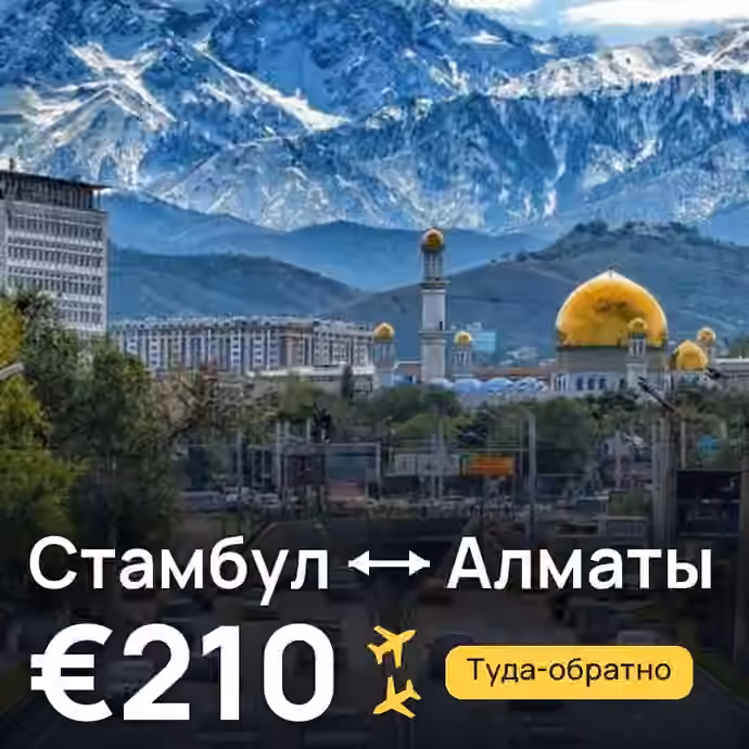 Стамбул → Алматы за €210