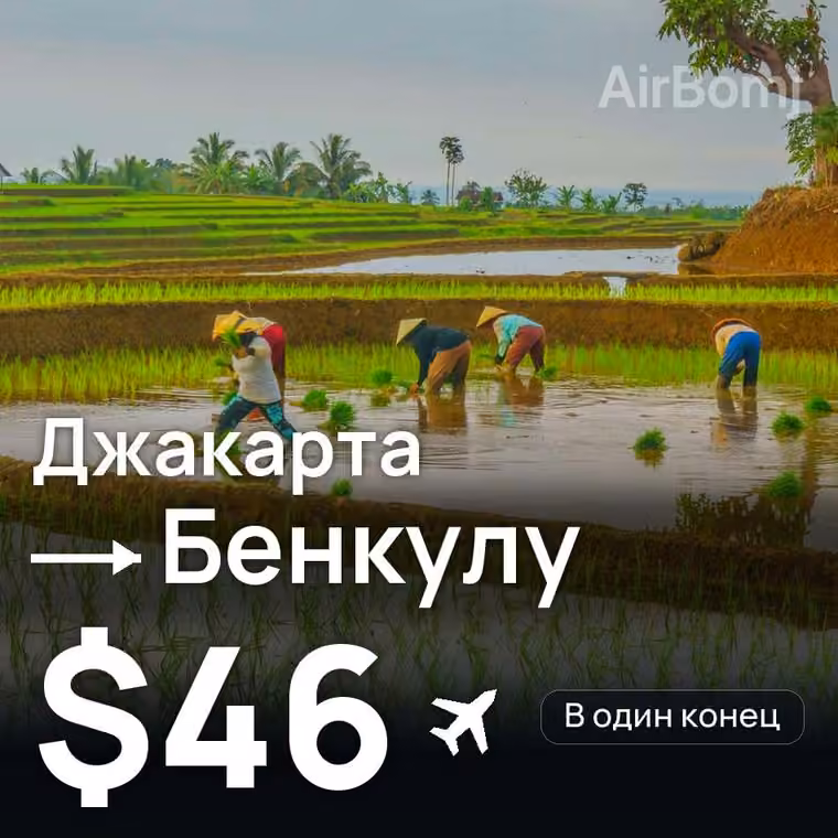 Джакарта → Бенкулу за $46