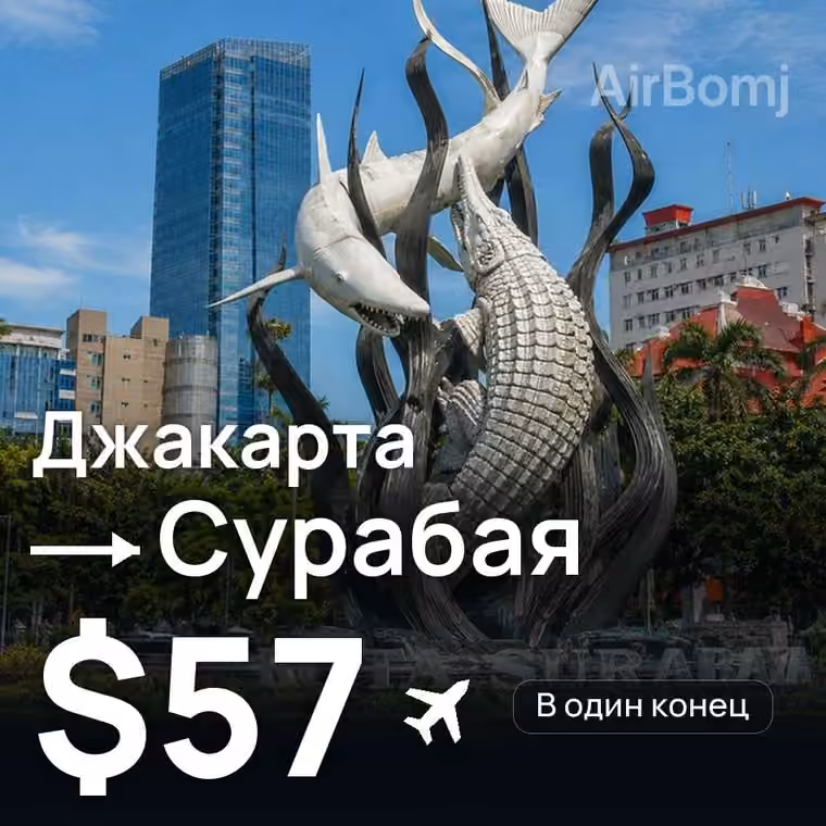 Джакарта → Сурабая — лучшая цена $57