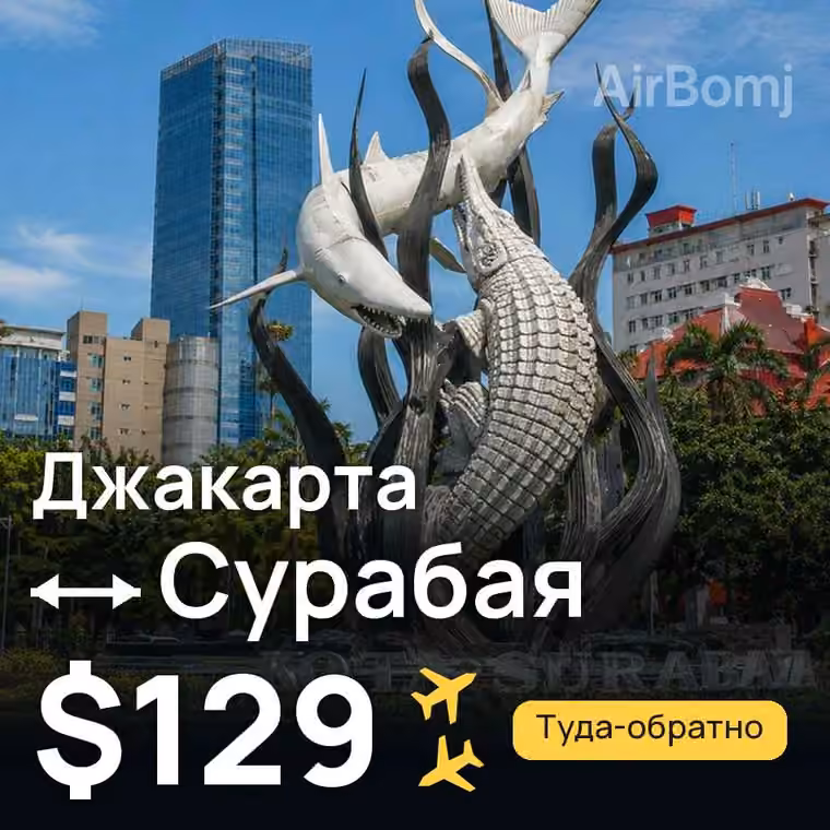 Джакарта → Сурабая — лучшая цена $129