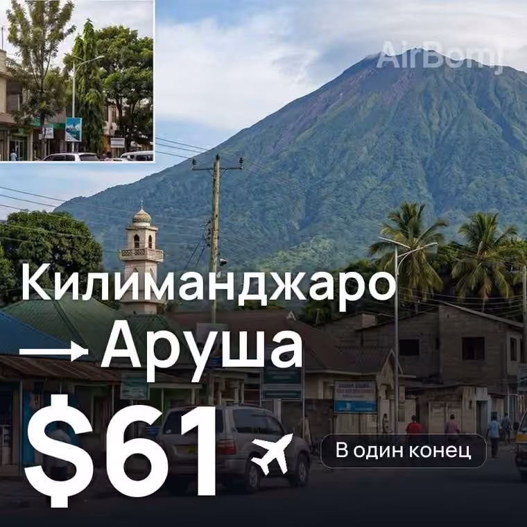 Килиманджаро → Аруша за $61