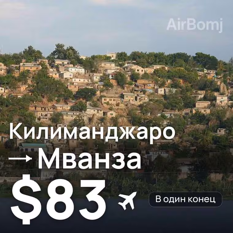 Килиманджаро → Мванза за $85