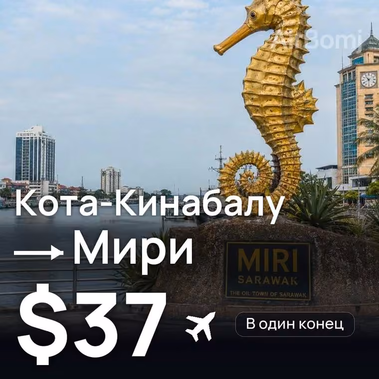 Кота-Кинабалу → Мири за $37