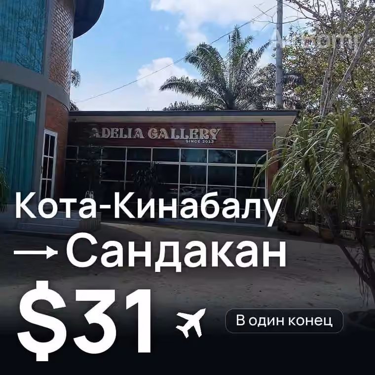 Кота-Кинабалу → Сандакан за $31
