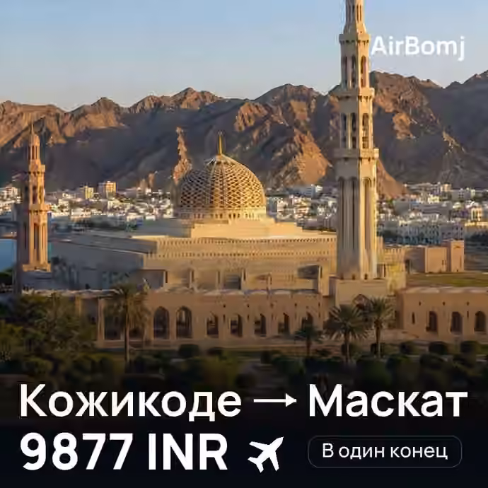 Кожикоде → Маскат — лучшая цена 8477 INR