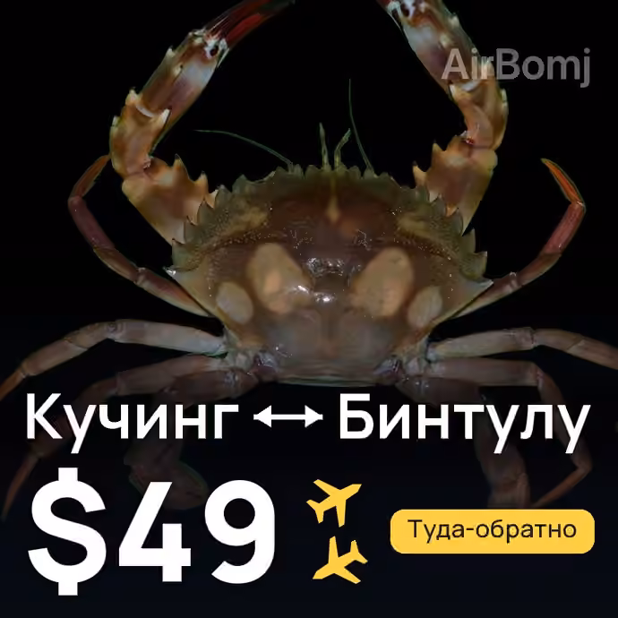 Кучинг → Бинтулу за $49