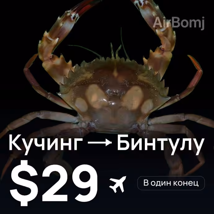 Кучинг → Бинтулу за $29