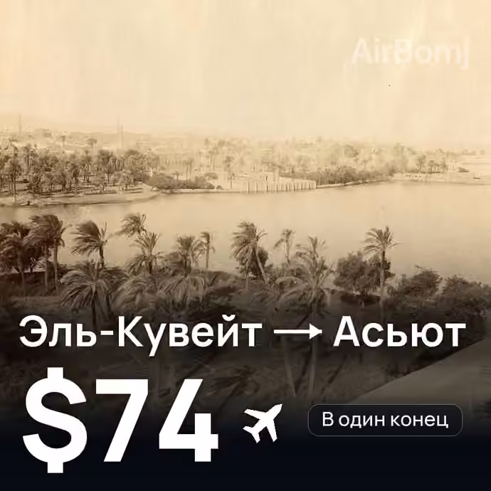 Эль-Кувейт → Асьют — лучшая цена $64