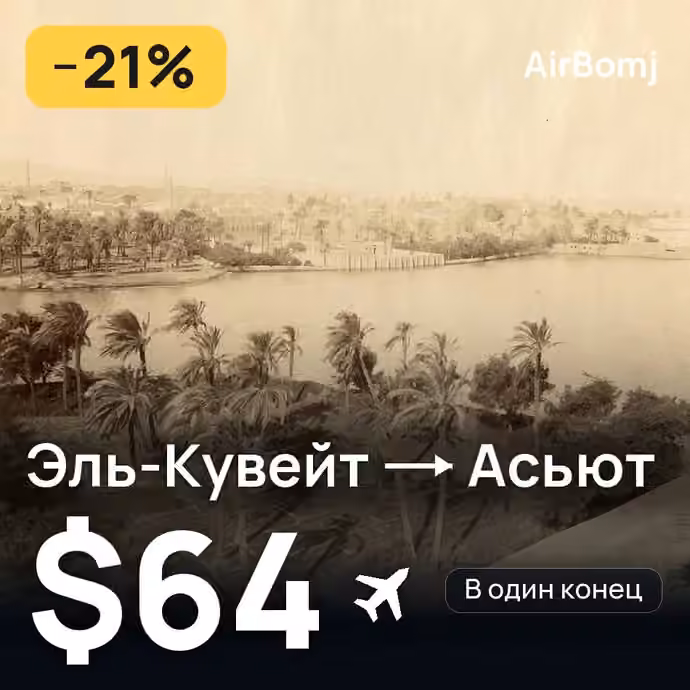 Эль-Кувейт → Асьют — лучшая цена $64