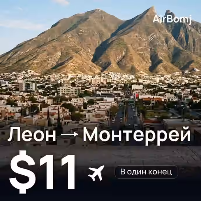 Леон → Монтеррей — лучшая цена $11