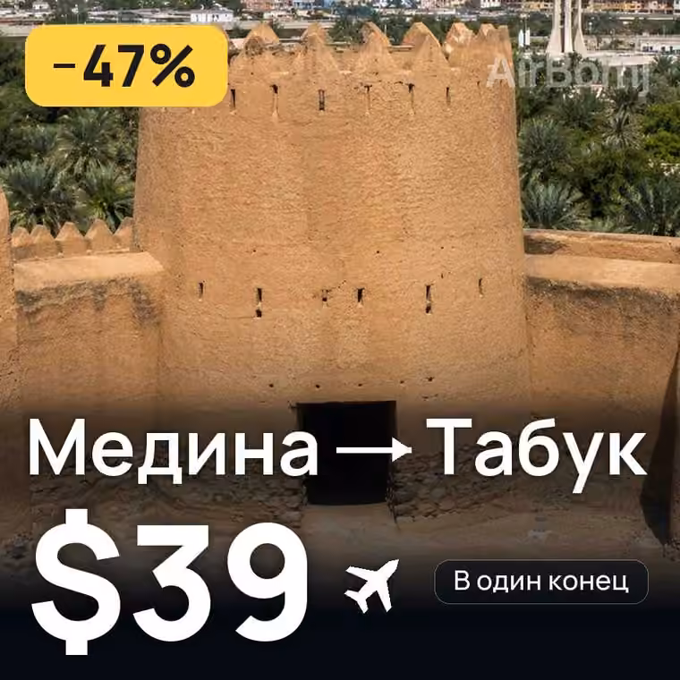Медина → Табук за $39