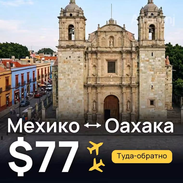 Мехико → Оахака за $77