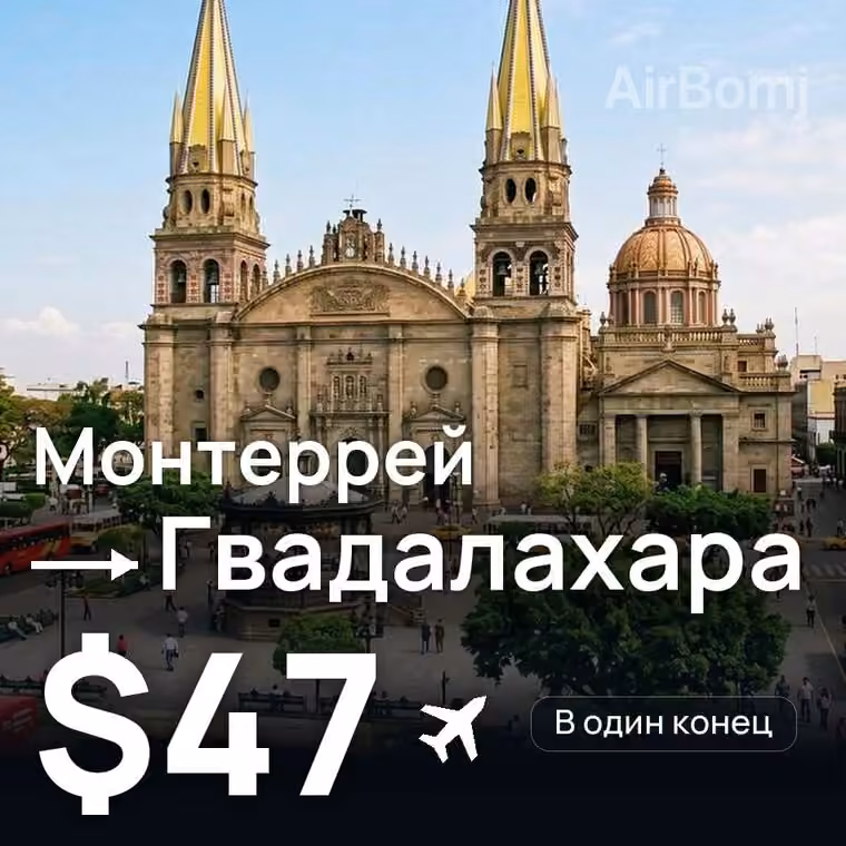 Монтеррей → Гвадалахара за $47