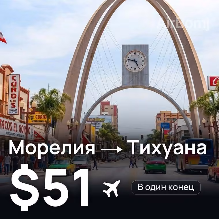 Морелия → Тихуана — лучшая цена $51