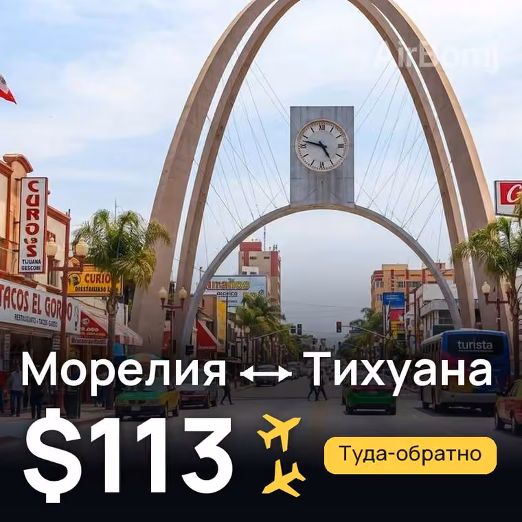 Морелия → Тихуана — лучшая цена $113