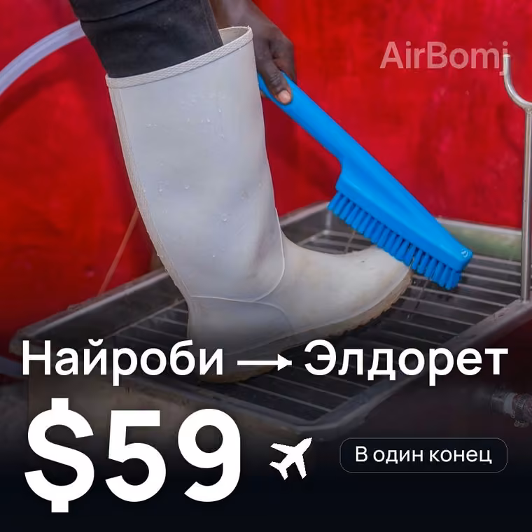 Найроби → Элдорет за $59