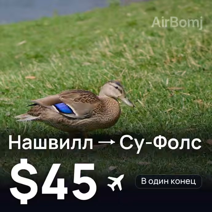 Нашвилл → Су-Фолс за $45