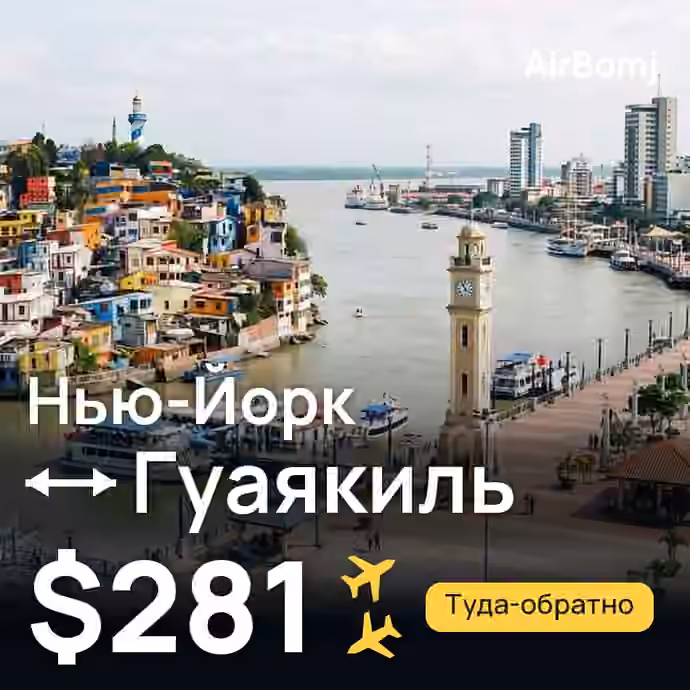 Нью-Йорк → Гуаякиль — лучшая цена $281