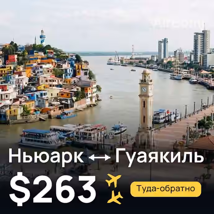 Ньюарк → Гуаякиль за $263