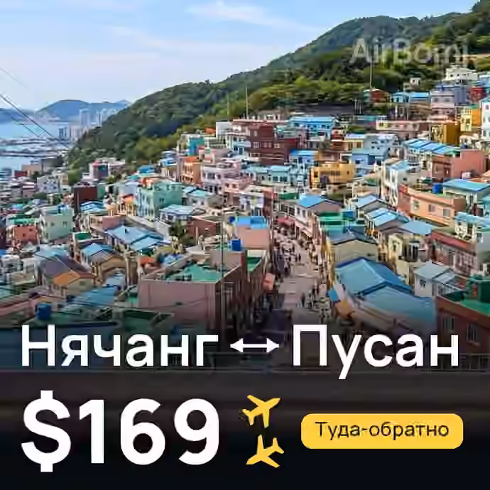 Нячанг → Пусан — лучшая цена $146