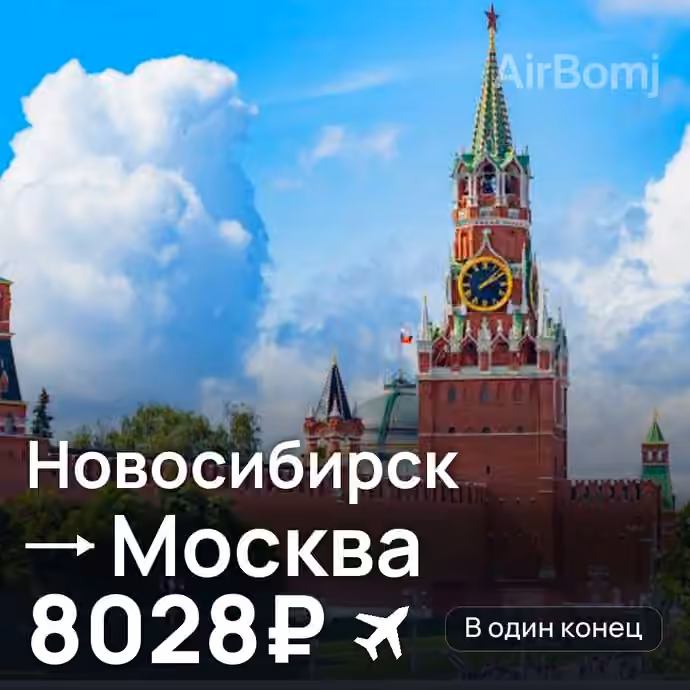Новосибирск → Москва за 8028₽