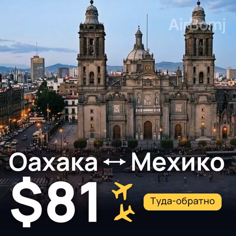 Оахака → Мехико — лучшая цена $81