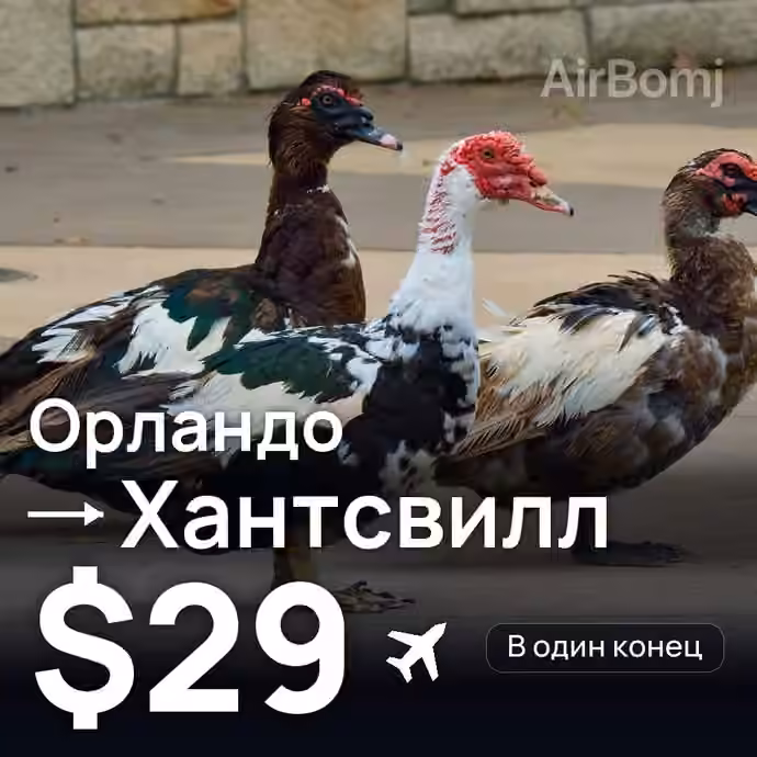 Орландо → Хантсвилл за $29