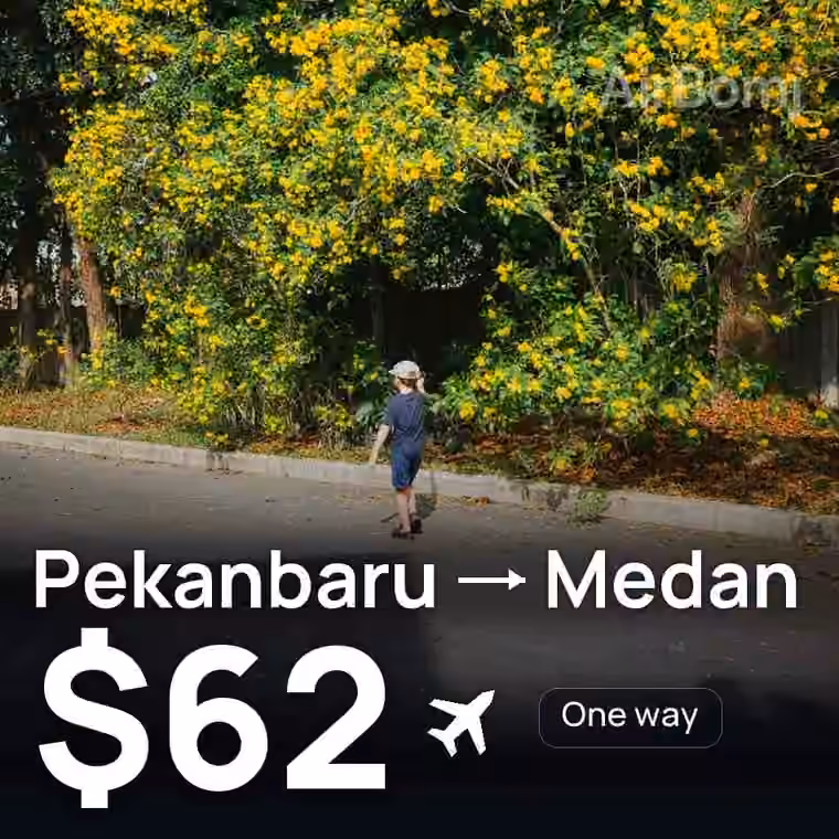 Pekanbaru → Medan for $62