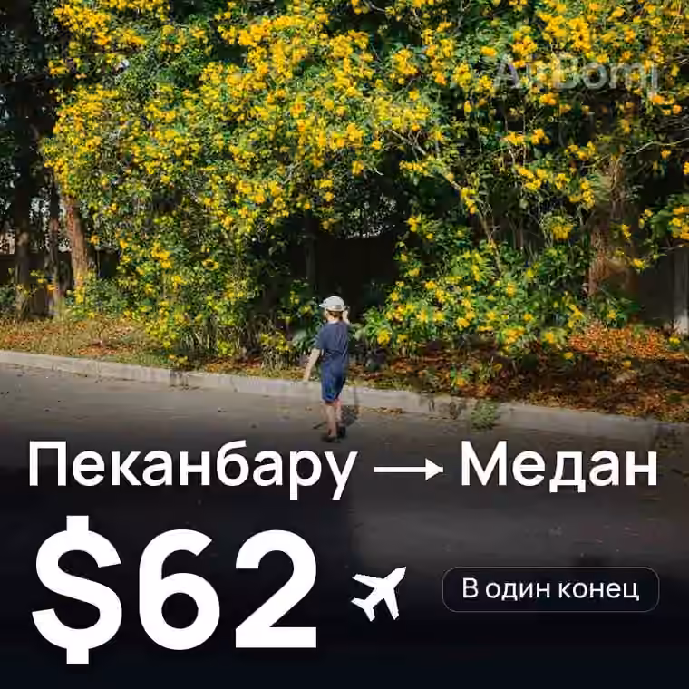 Пеканбару → Медан — лучшая цена $62