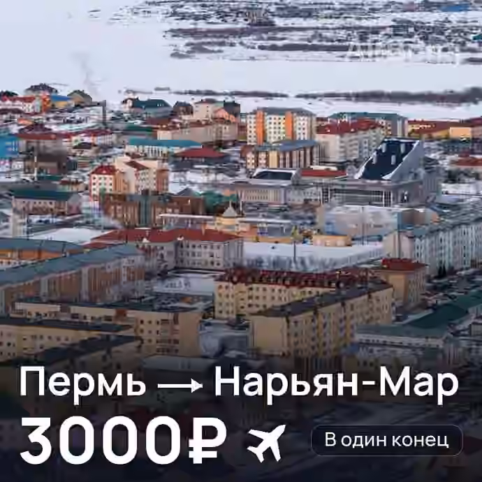 Пермь → Нарьян-Мар за 3000₽