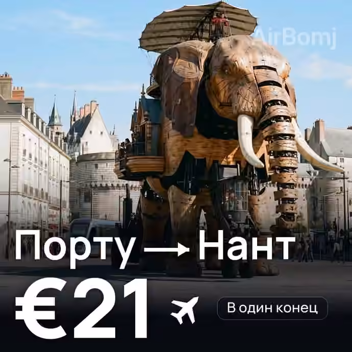 Порту → Нант — лучшая цена €21
