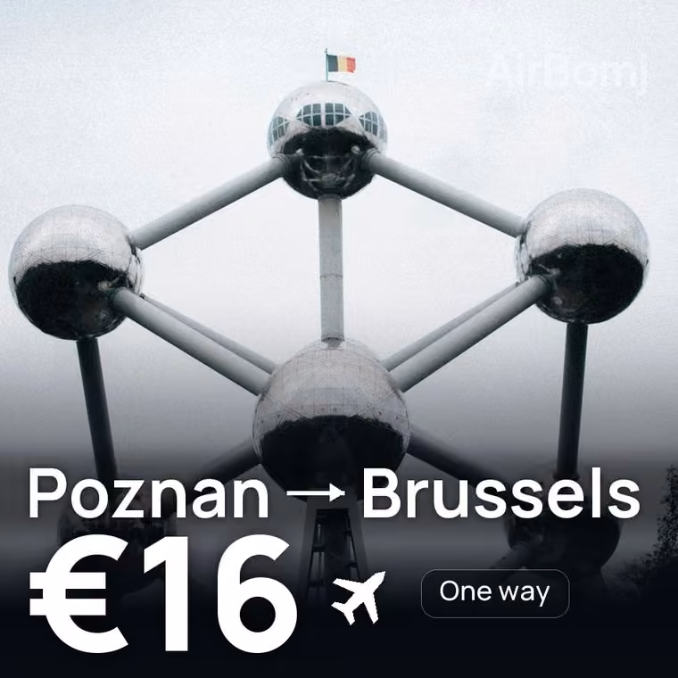 Poznan → Brussels for €16