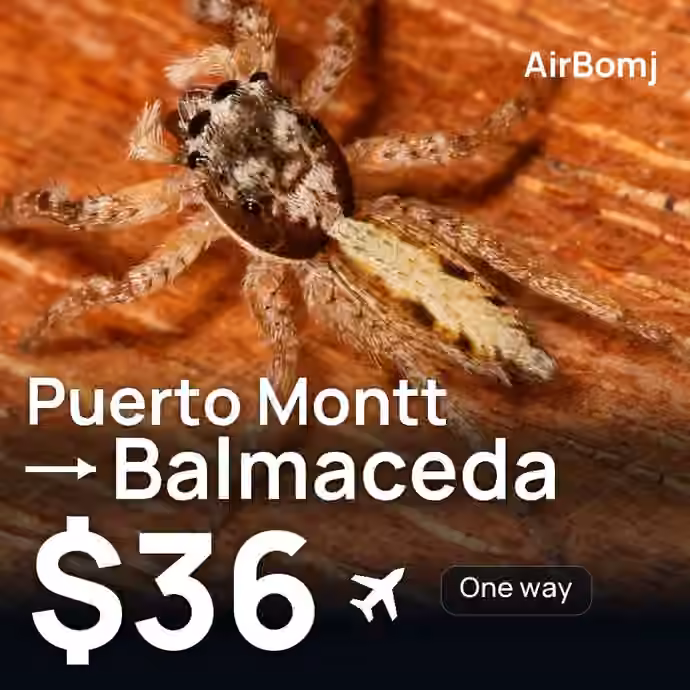 Puerto Montt → Balmaceda for $36