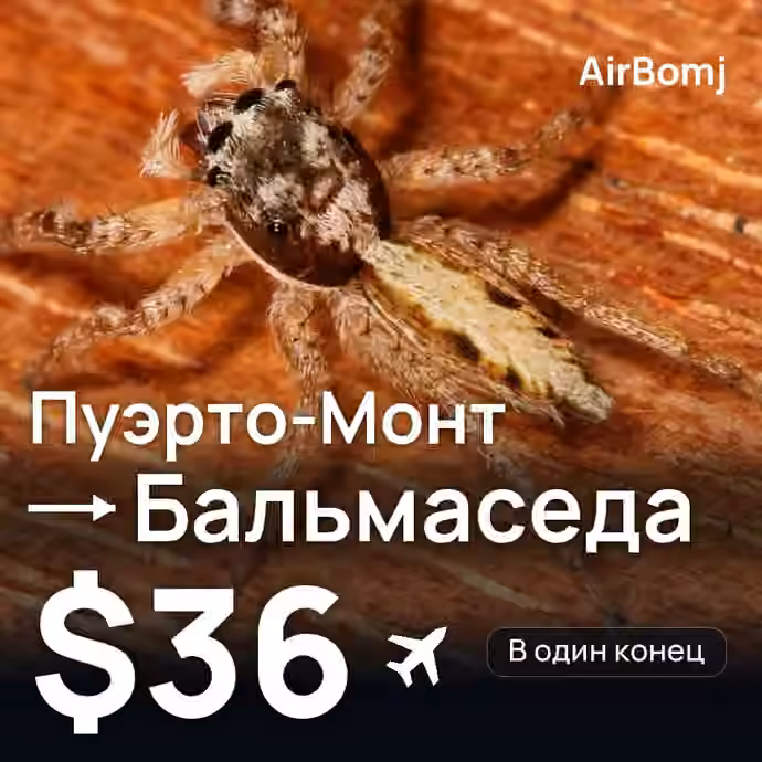Пуэрто-Монт → Бальмаседа — лучшая цена $36