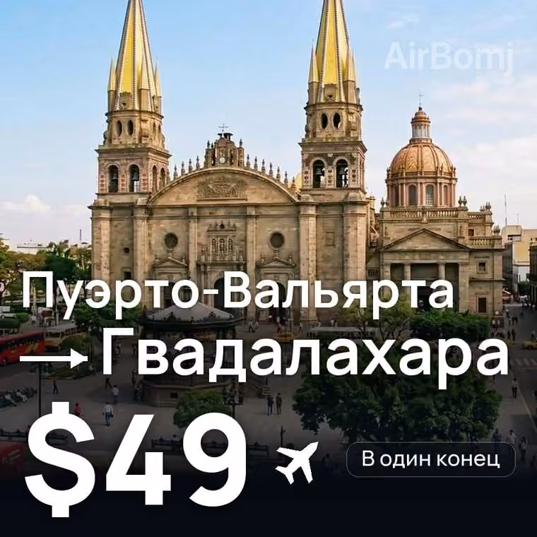 Пуэрто-Вальярта → Гвадалахара за $49