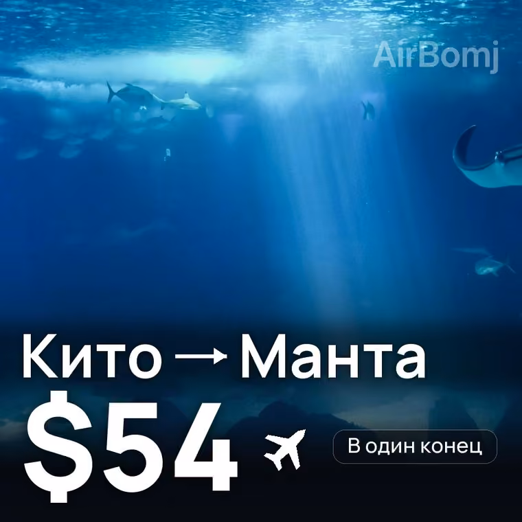 Кито → Манта — лучшая цена $54