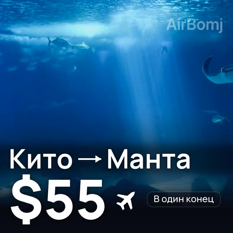 Кито → Манта — лучшая цена $55