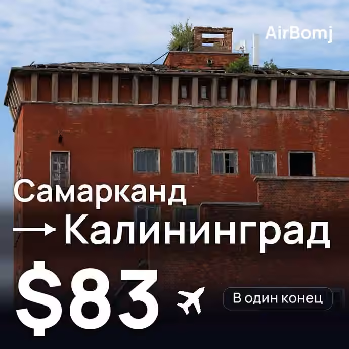 Самарканд → Калининград — лучшая цена $83